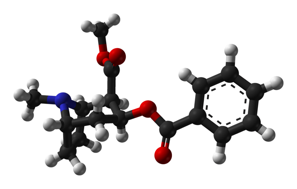 A recreational drug, cocaine