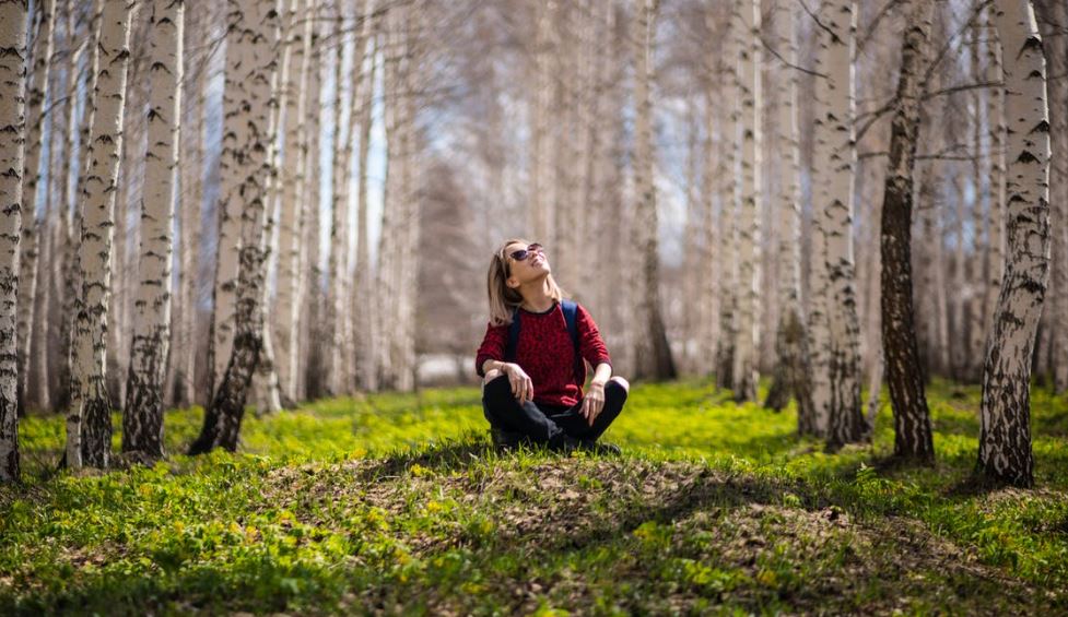 A woman sitting between trees