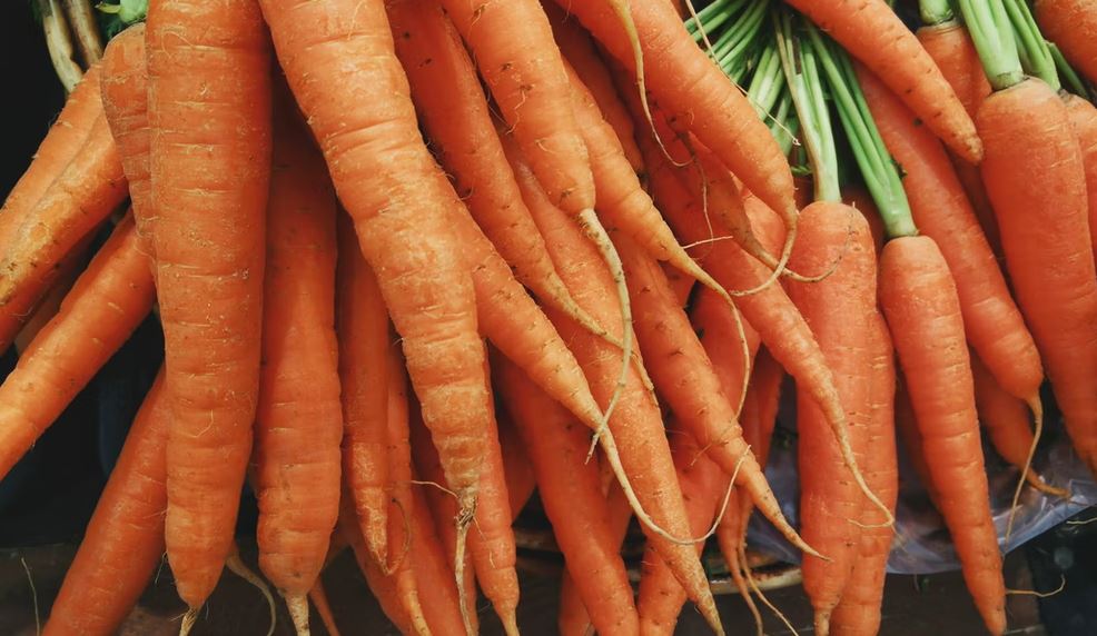 Carrots