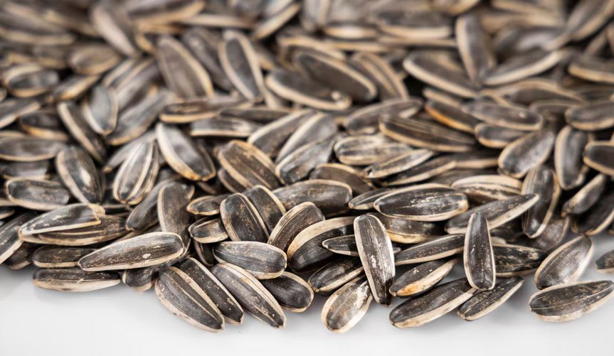 Sunflower Seeds