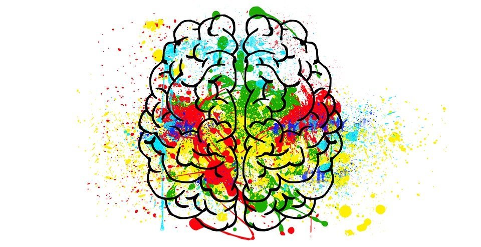 a graphic art of brain