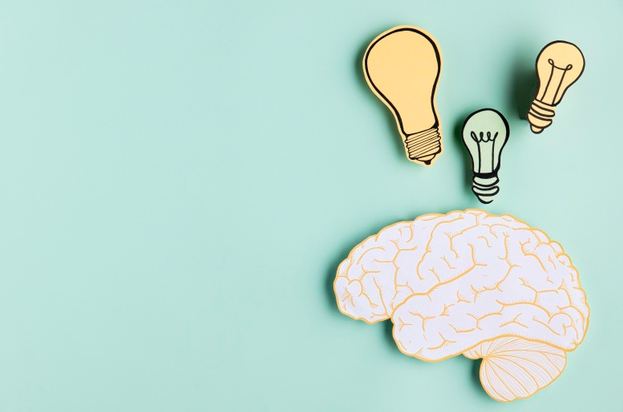 a brain illustration and three bulbs depicting ideas.
