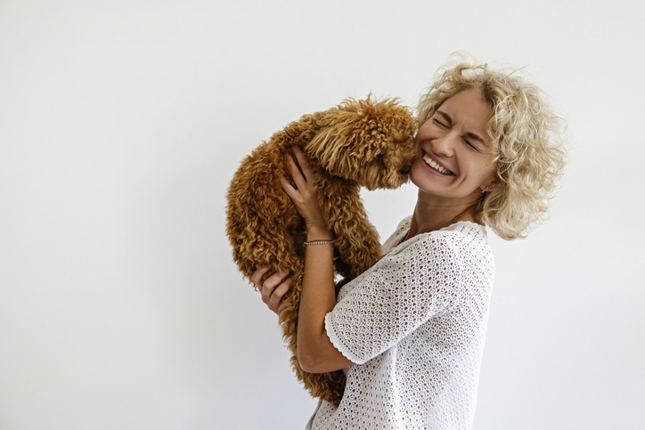 Woman in knitted sweater with her maltipoo poodle.
